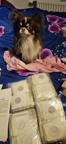 Australische Abnehm-Pflaster photo review